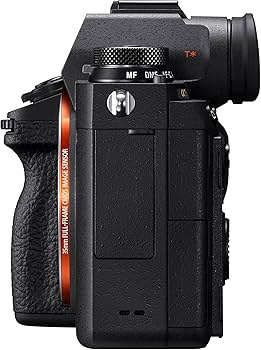 Amazon.com : Sony a9 Full Frame Mirrorless Interchangeable